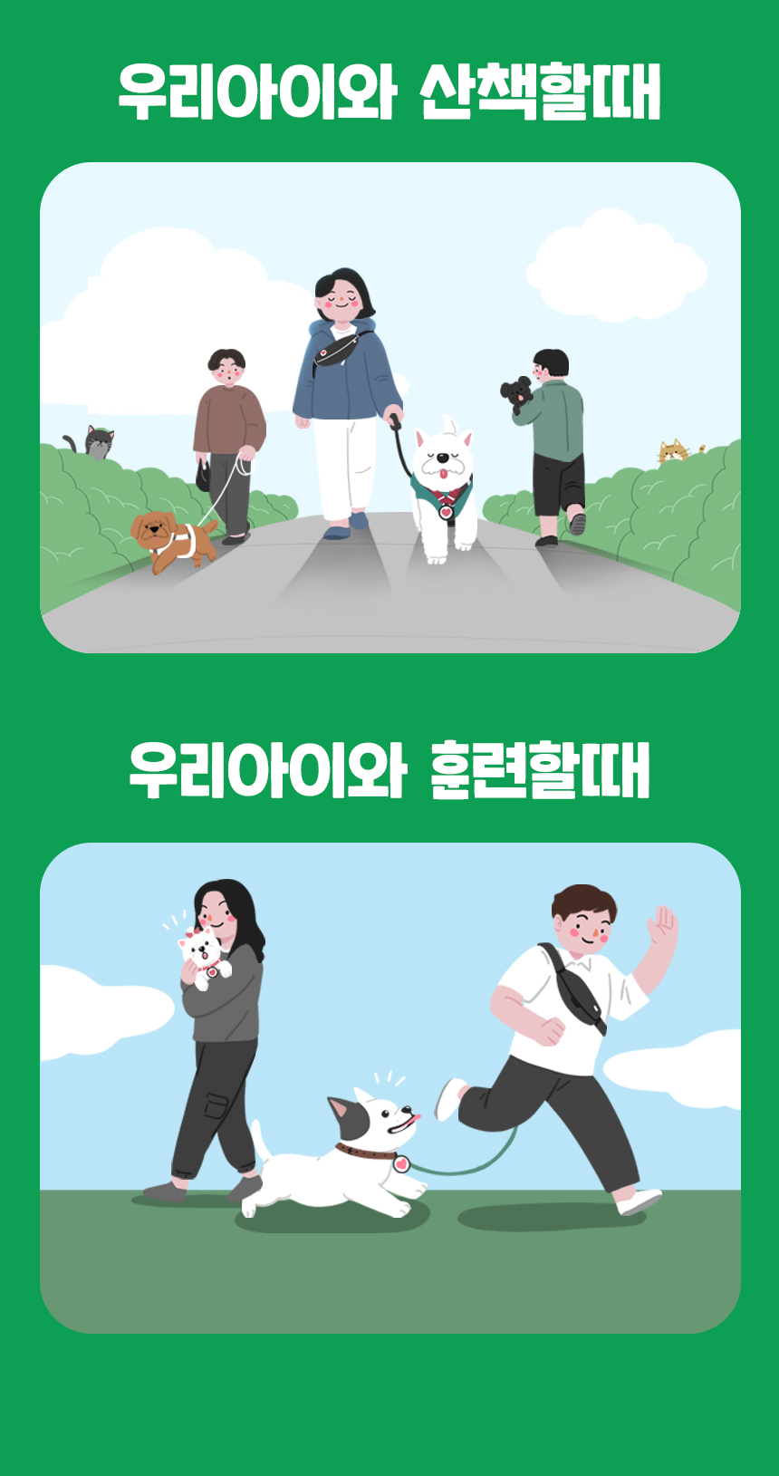 [무료배송] 슈퍼포우 굿보이트릿 후코이단 200g 19번째