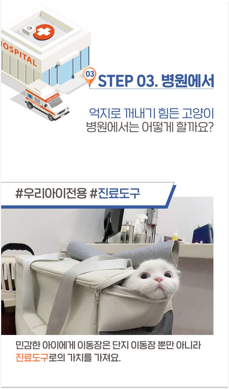 [무료배송] 옥희독희 위로열림 이동장 14번째