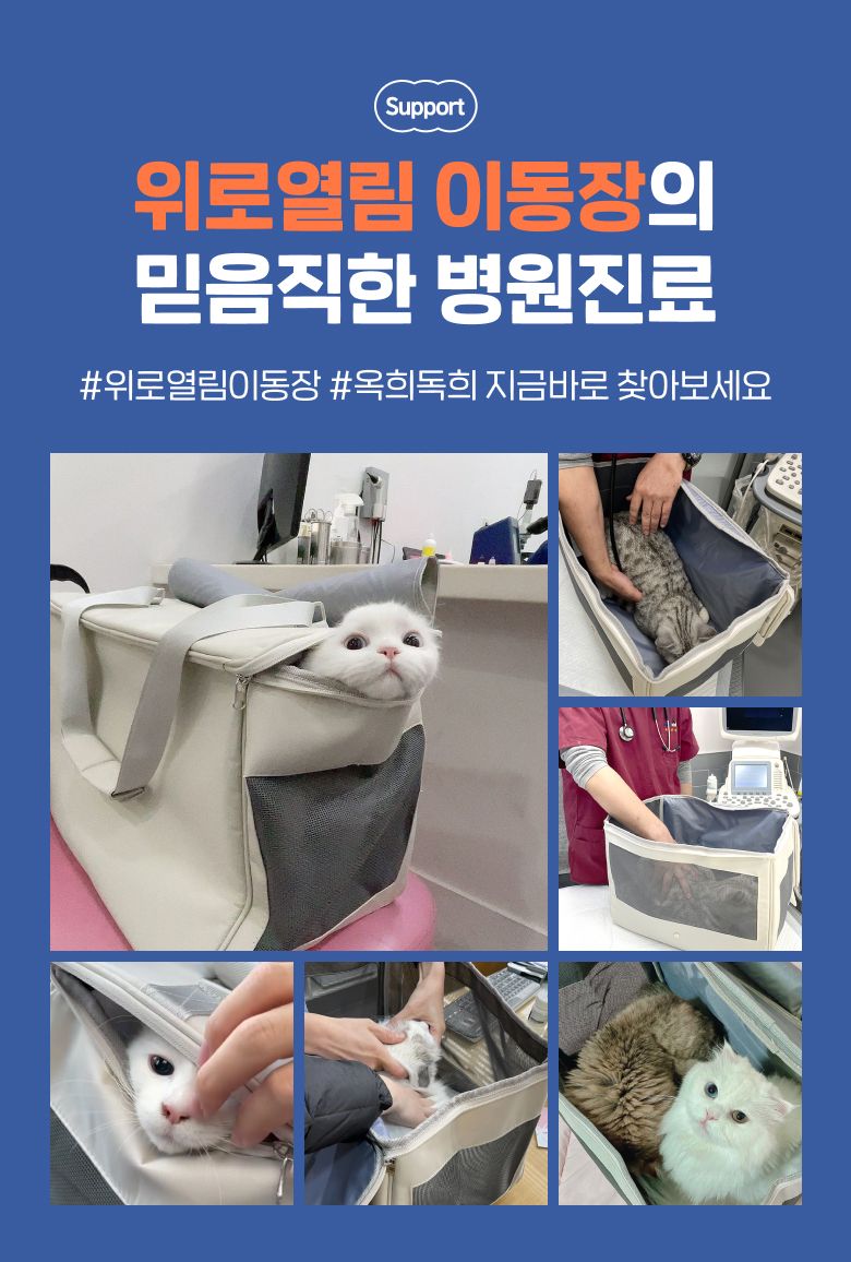 [무료배송] 옥희독희 위로열림 이동장 2번째
