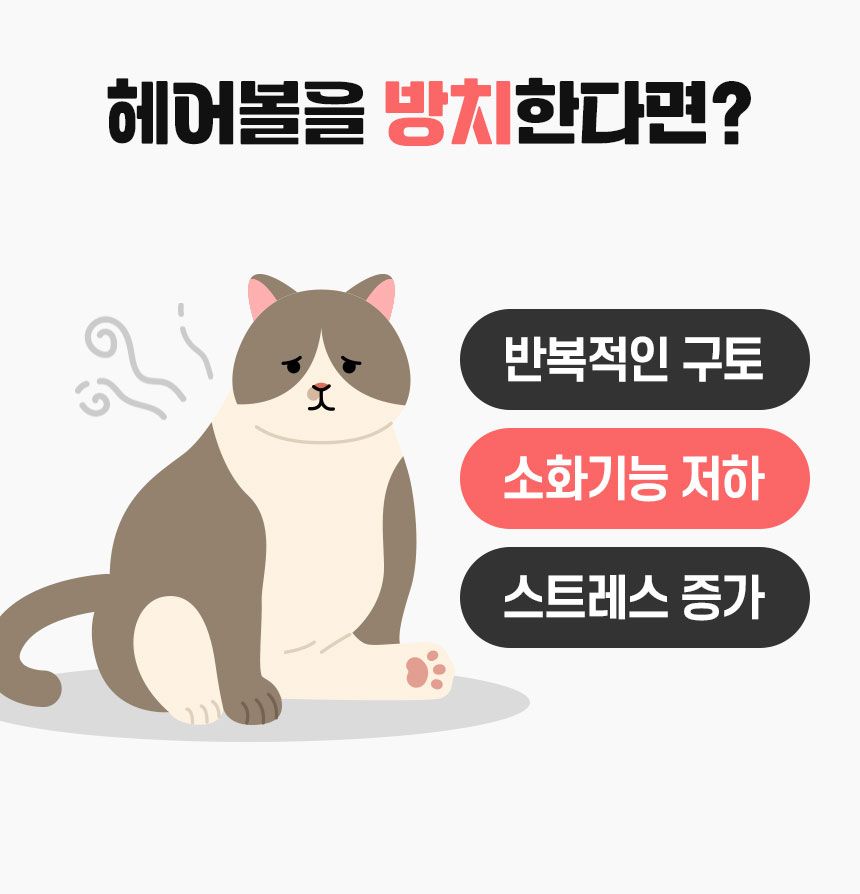 [체험팩] 펫생각 캣 데일리케얼 리얼 헤어볼 영양제 2g*7p 6번째