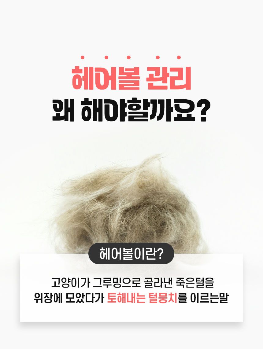 [체험팩] 펫생각 캣 데일리케얼 리얼 헤어볼 영양제 2g*7p 5번째