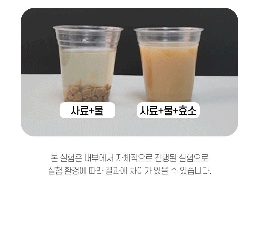 [체험팩] 펫생각 캣 데일리케얼 리얼 헤어볼 영양제 2g*7p 14번째