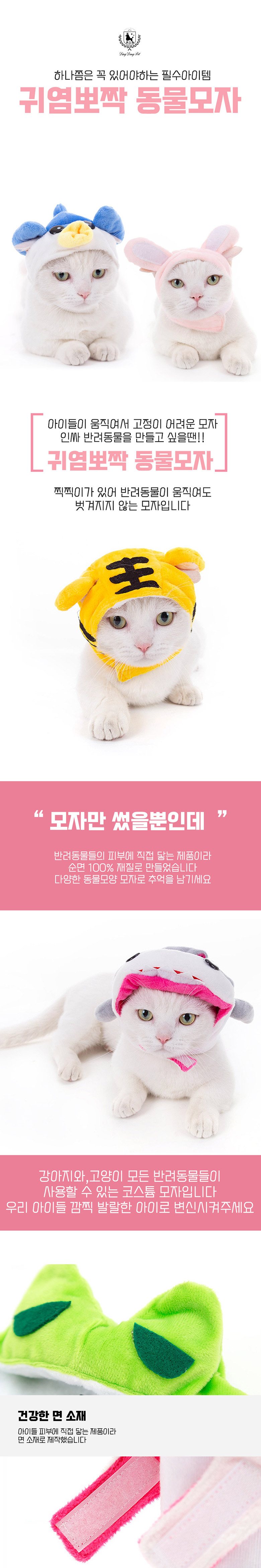 [무료배송] 딩동펫 귀염뽀짝 모자 8종 XS-L 1번째