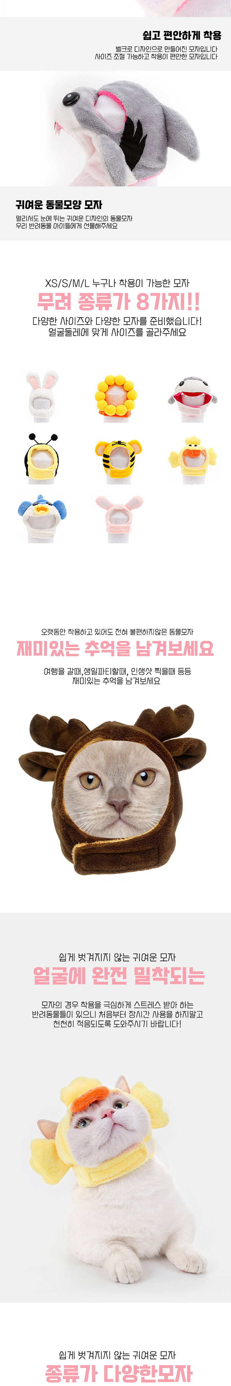 [무료배송] 딩동펫 귀염뽀짝 모자 8종 XS-L 2번째