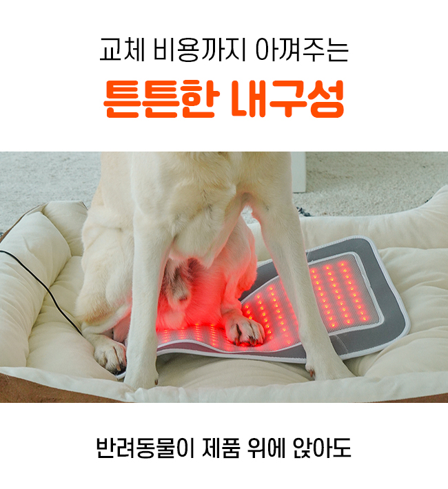 [NEW신상][무료배송] 시리어스펫 슬개골 따땃패드 프로 18번째