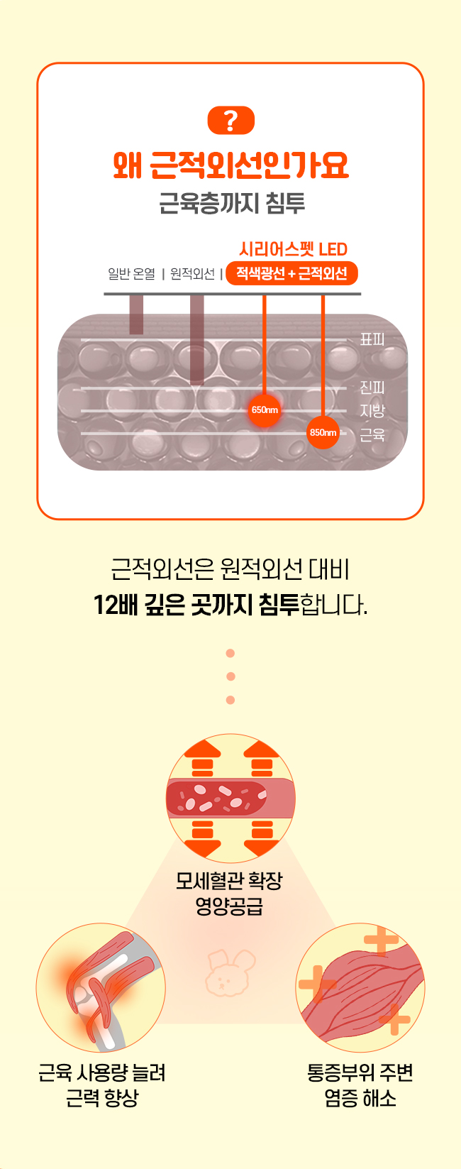 [NEW신상][무료배송] 시리어스펫 슬개골 따땃패드 프로 5번째