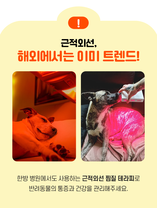 [NEW신상][무료배송] 시리어스펫 슬개골 따땃패드 프로 7번째