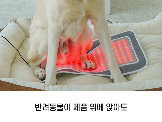 [럭키세일][무료배송] 시리어스펫 슬개골 따땃패드 프로 18번째