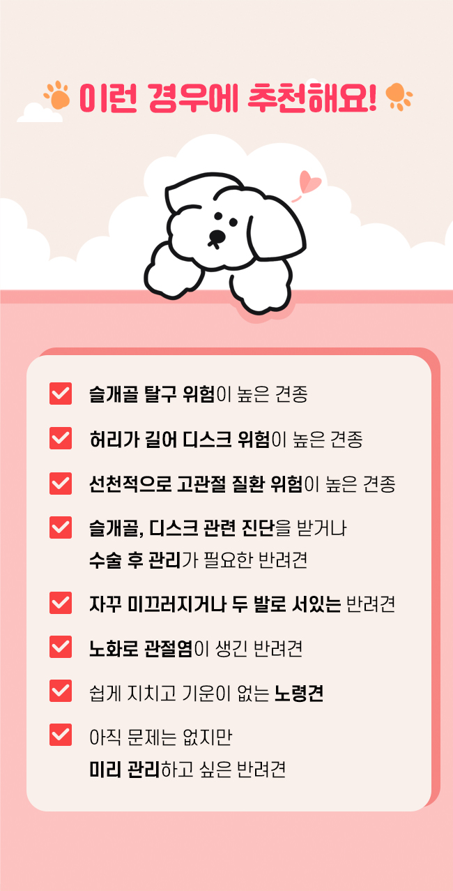 [NEW신상][무료배송] 시리어스펫 슬개골 따땃패드 프로 23번째
