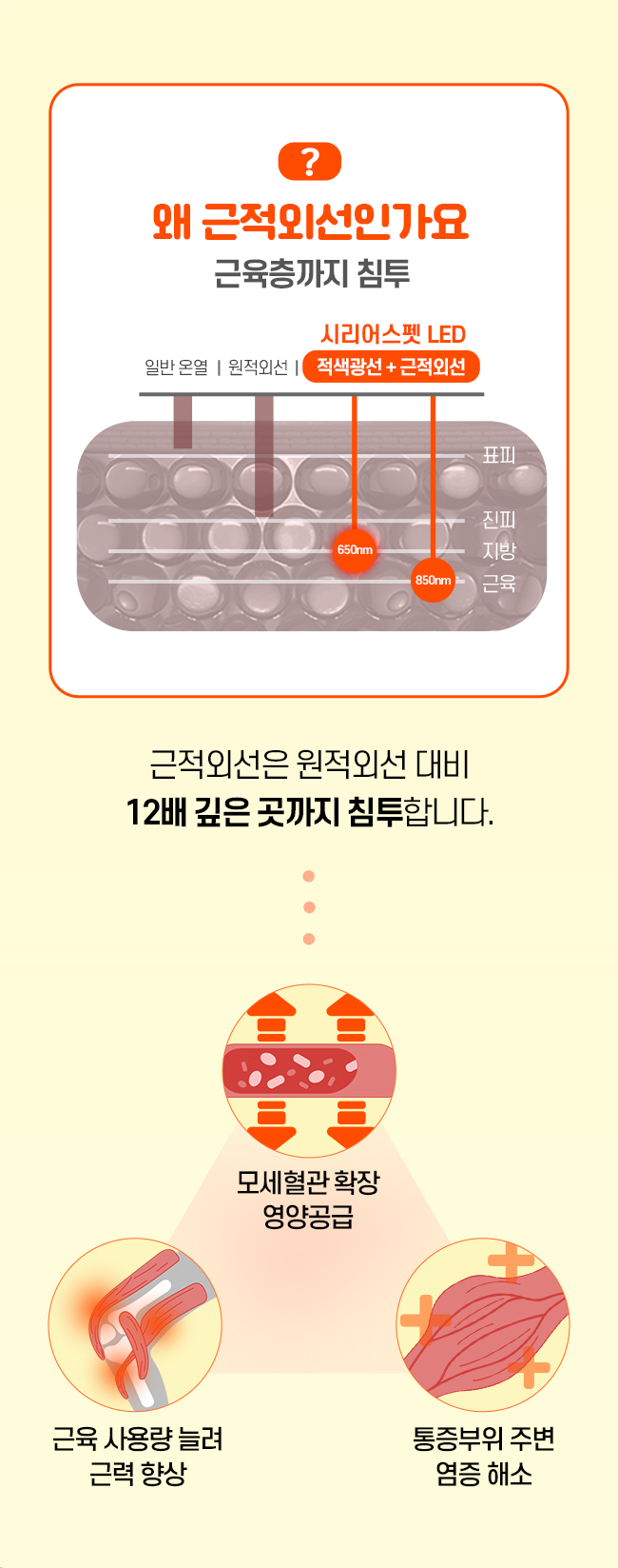 [럭키세일][무료배송] 시리어스펫 슬개골 따땃패드 프로 6번째