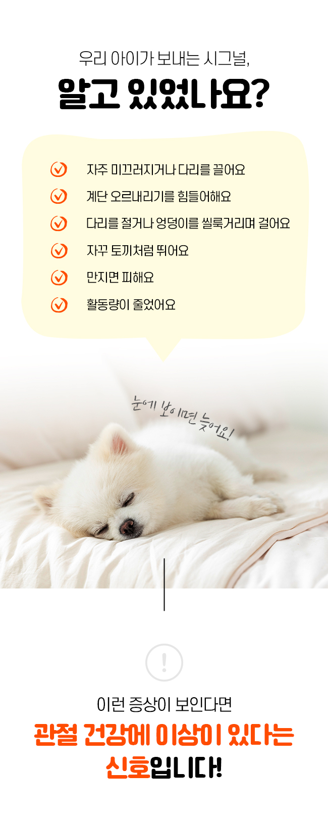 [NEW신상][무료배송] 시리어스펫 슬개골 따땃패드 프로 3번째