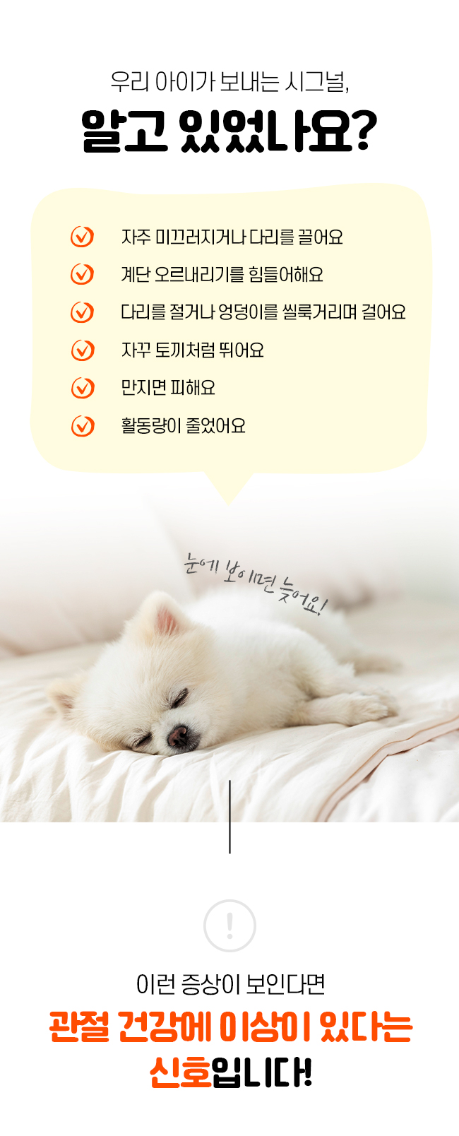 [럭키세일][무료배송] 시리어스펫 슬개골 따땃패드 프로 4번째