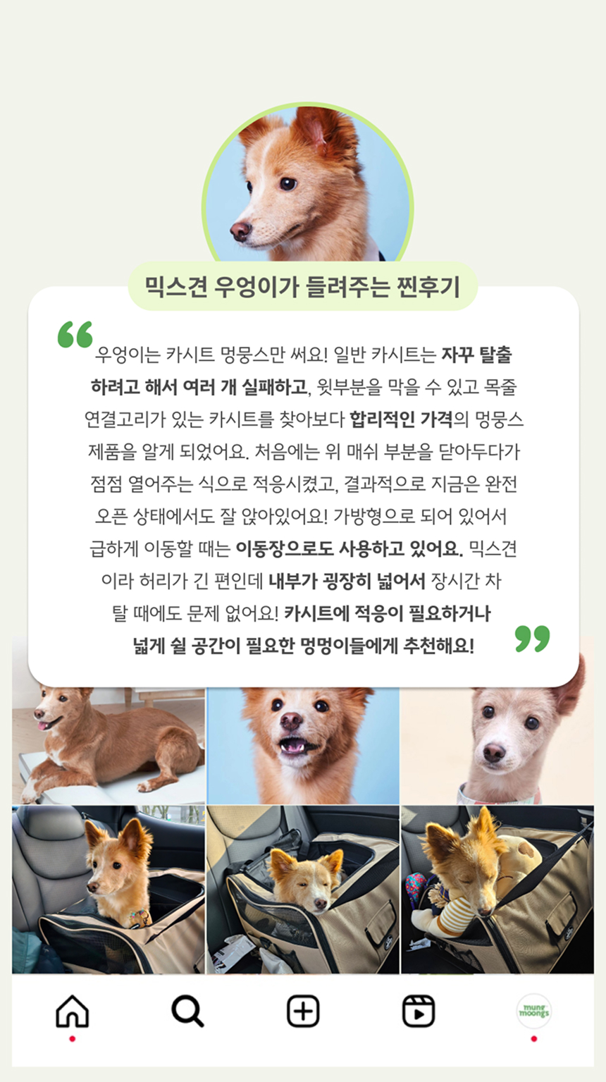[NEW신상][무료배송] 멍뭉스 자동차용 반려동물 카시트 겸용 수납가방 4번째