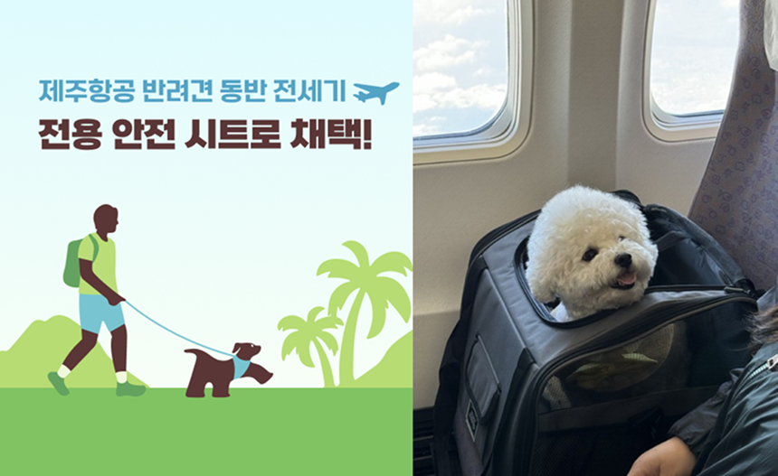 [NEW신상][무료배송] 멍뭉스 자동차용 반려동물 카시트 겸용 수납가방 1번째