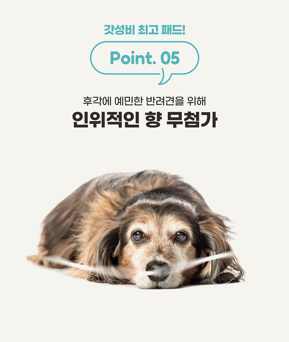[무료배송] 아베크 싸시구려 배변패드 대형 60x76cm 9번째