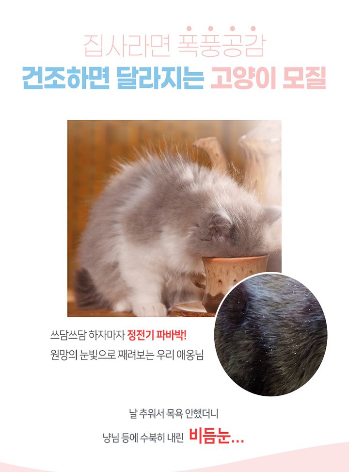 [무료배송] 꼬잇 결이반짝 샤인미스트 100ml 8번째