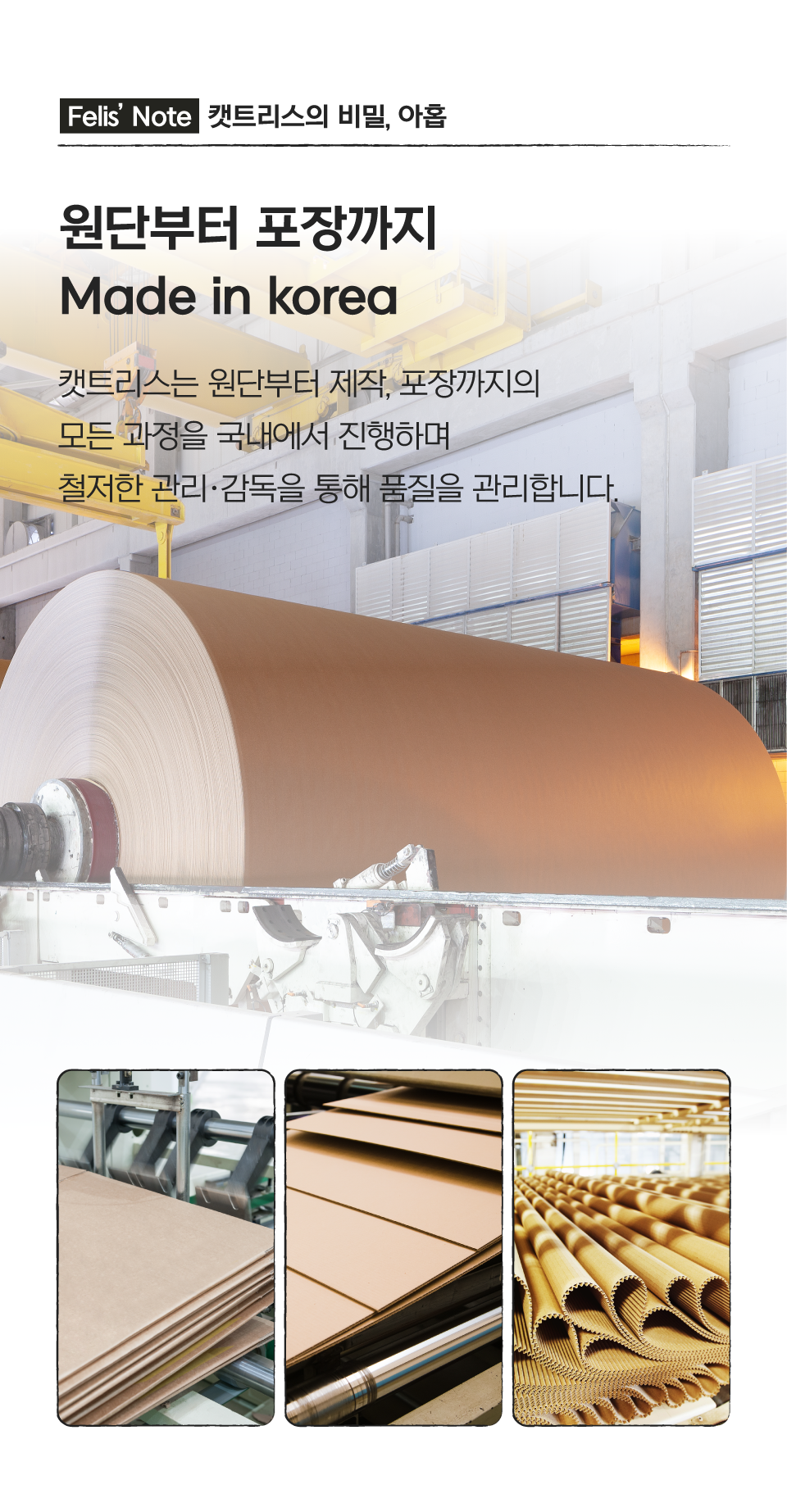 닥터펠리스 캣트리스 매직보드 S/L 21번째