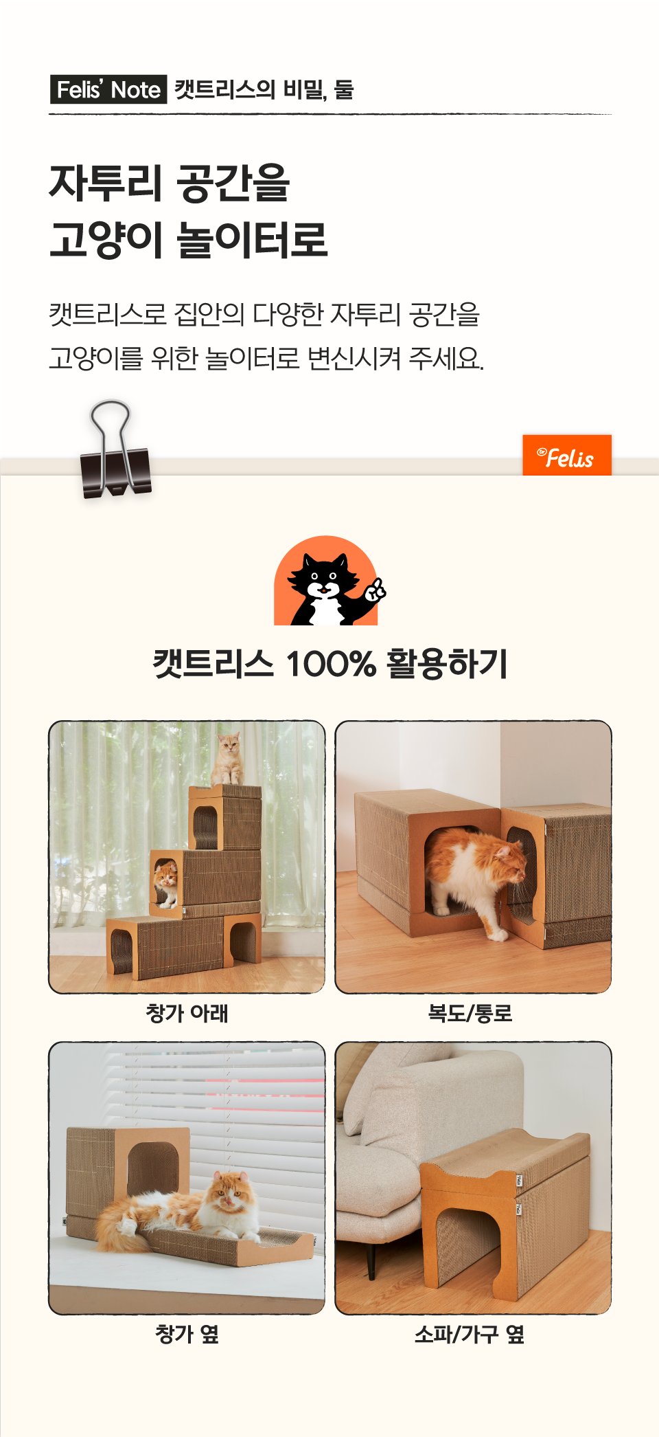 닥터펠리스 캣트리스 매직보드 S/L 11번째