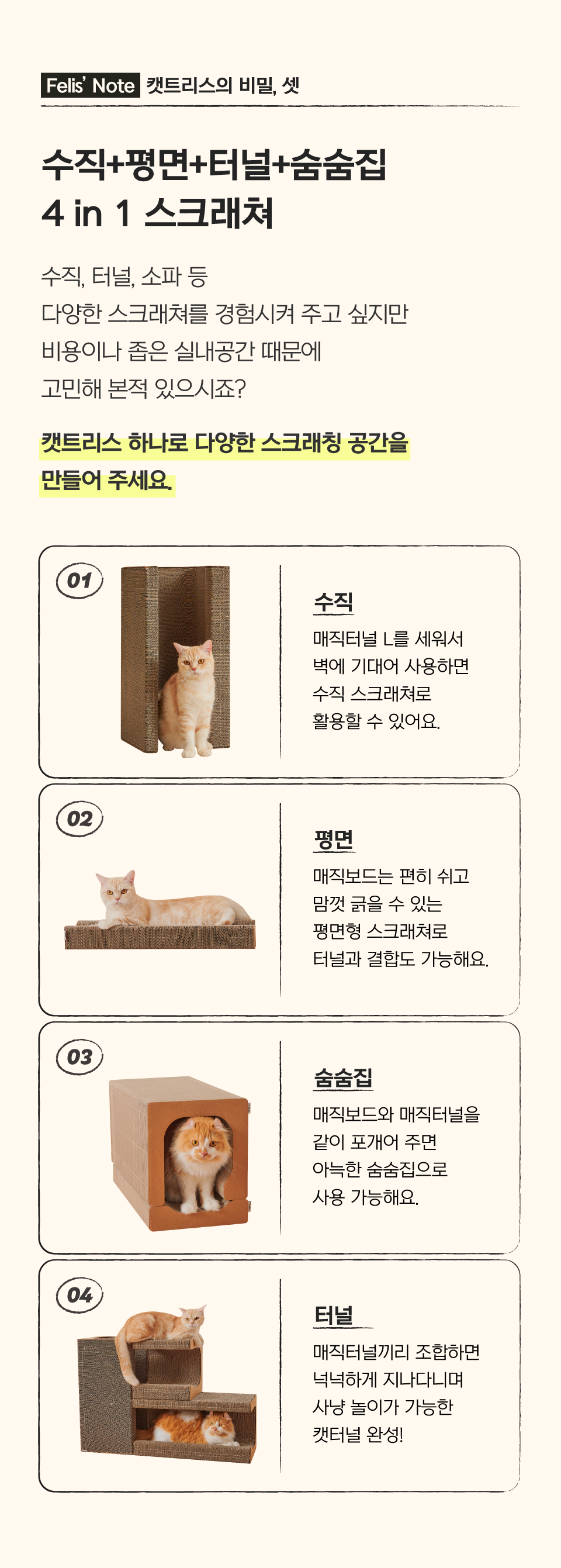 닥터펠리스 캣트리스 매직보드 S/L 12번째