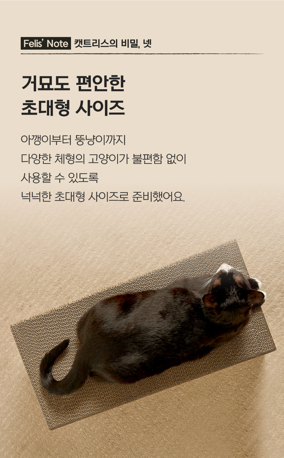 닥터펠리스 캣트리스 매직보드 S/L 13번째