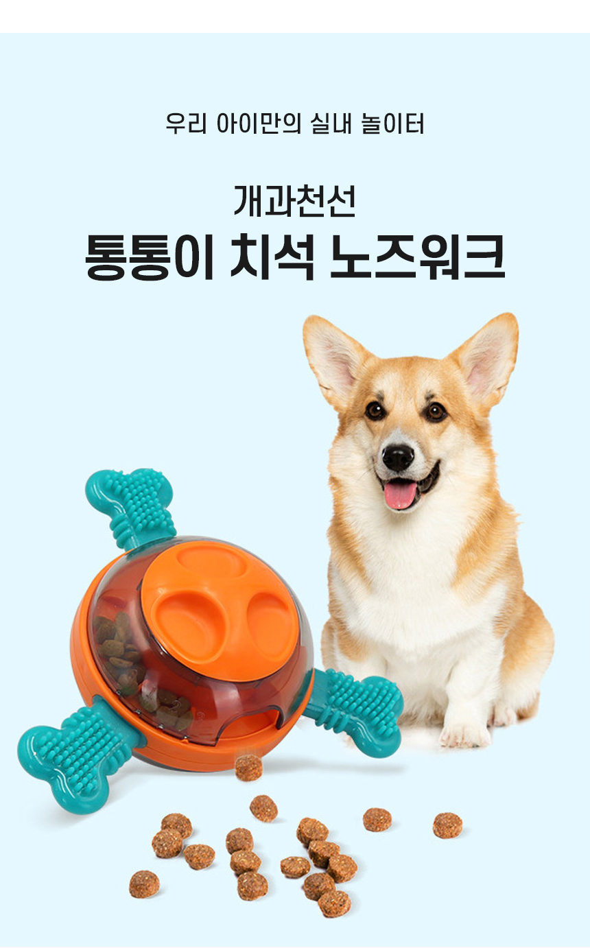 [NEW신상][무료배송] 개과천선 독 통통이 치석 노즈워크 스낵볼 장난감 2번째