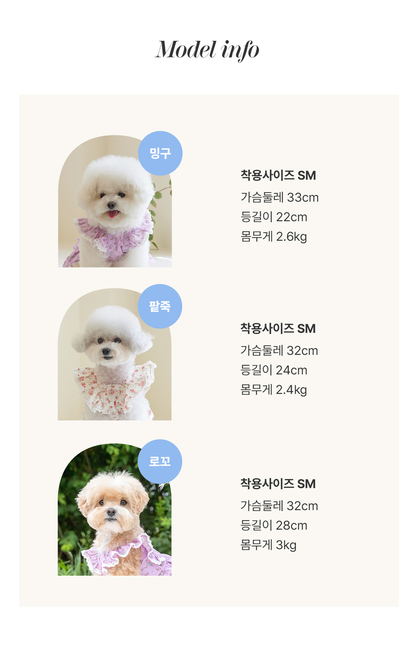 [무료배송] 꼬뗀느 아르떼 드레스 3color S-XL 13번째