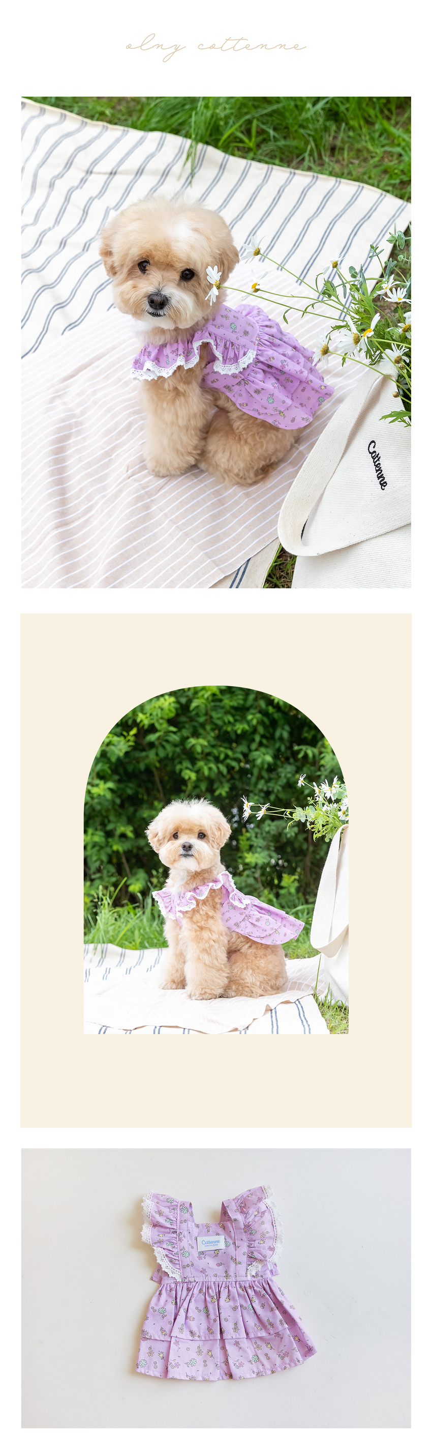 [무료배송] 꼬뗀느 아르떼 드레스 3color S-XL 11번째