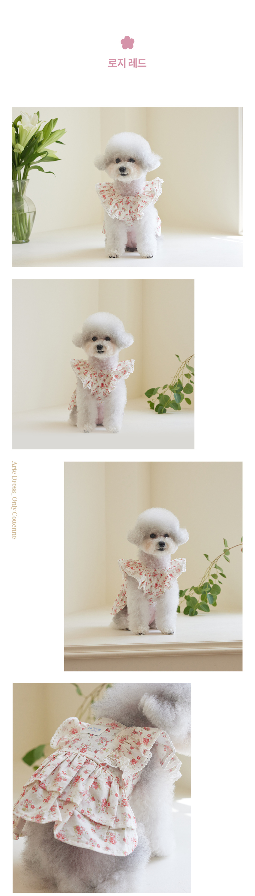 [무료배송] 꼬뗀느 아르떼 드레스 3color S-XL 7번째