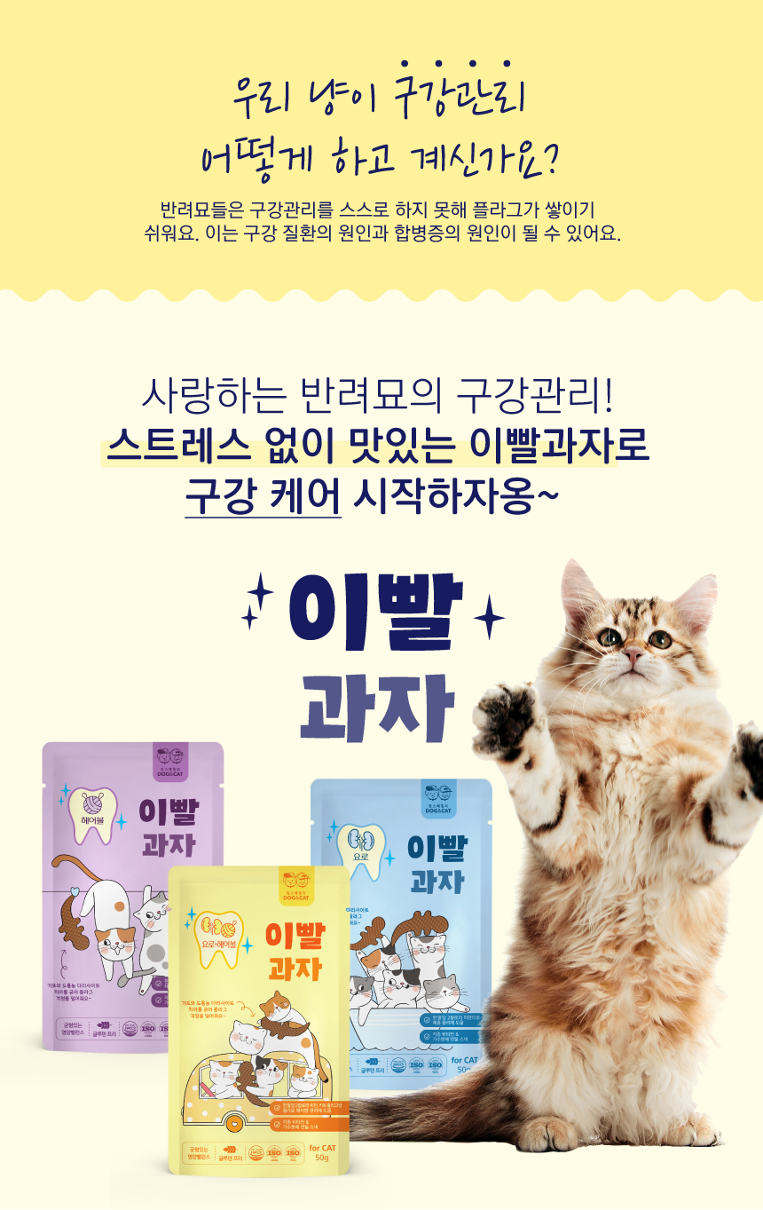 [NEW신상][무료배송] 닥터도레미 이빨과자 3종 50g [모음] 1번째