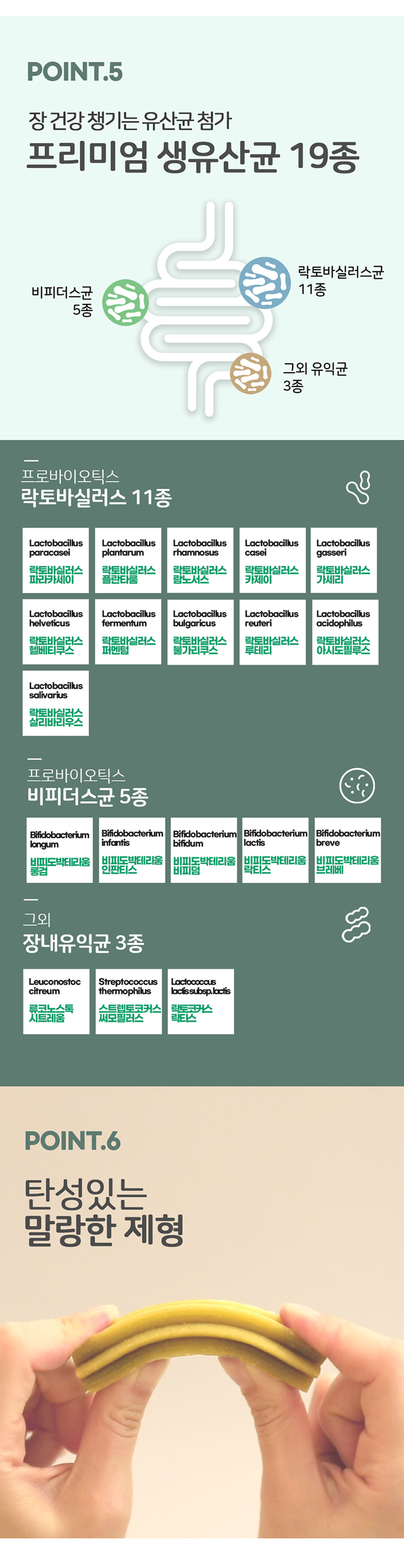[무료배송] 누터스가든 독 덴탈가드 침향 껌 180g 4번째