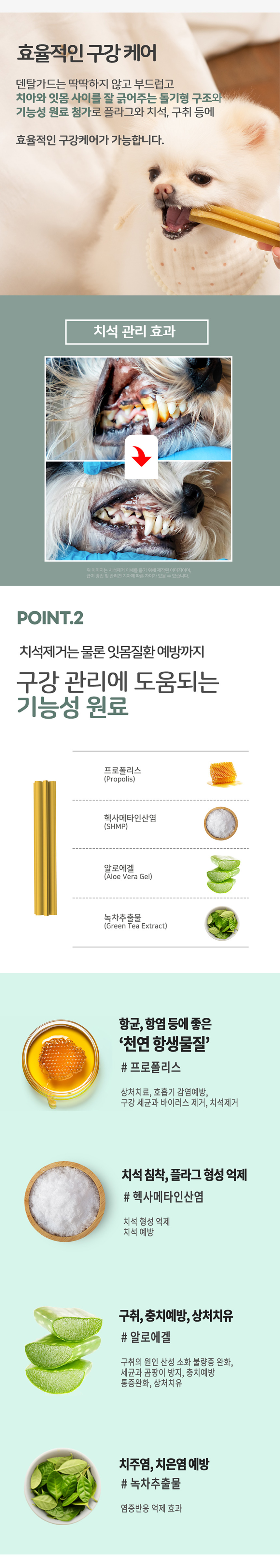 [무료배송] 누터스가든 독 덴탈가드 침향 껌 180g 2번째