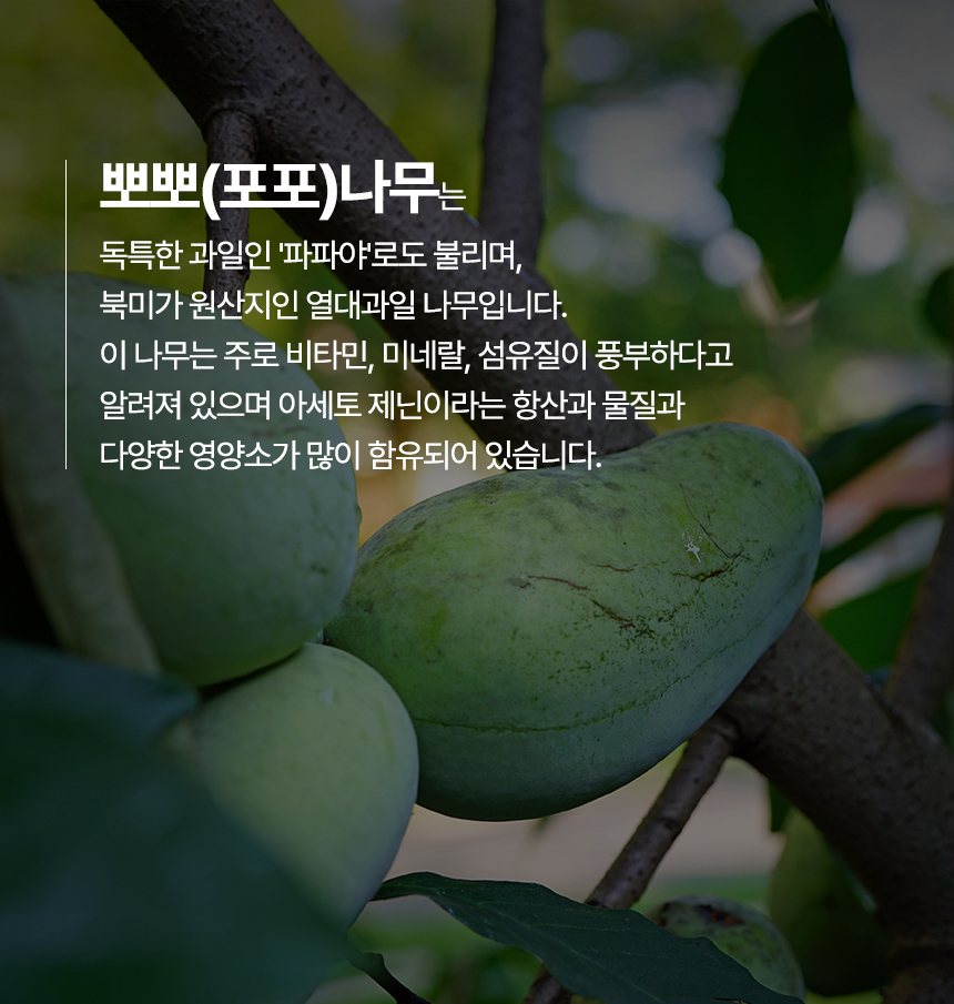 [NEW신상][무료배송] 우리주 독 가수분해 투뿔리아 소프트 시니어(오리) 5kg 9번째