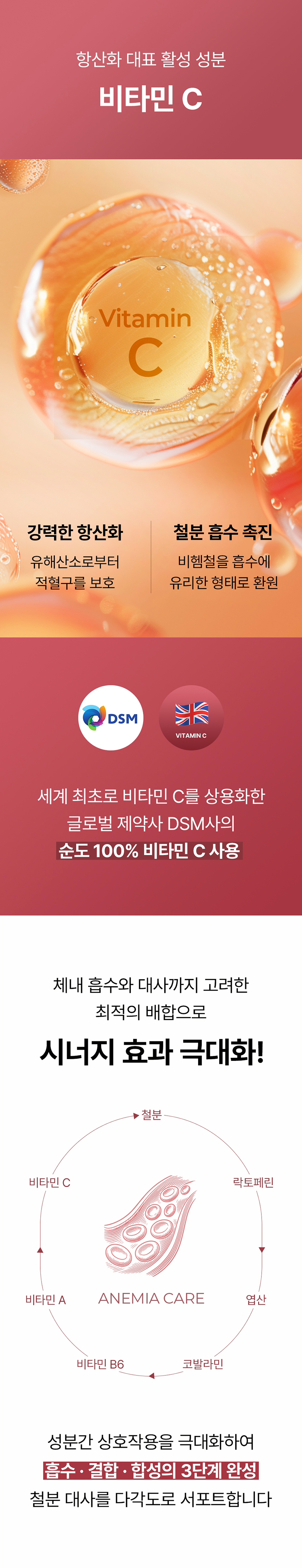 [NEW신상][무료배송] 라이펫 진정성 FE 철분 락토페린 빈혈 영양제 2gX30포 12번째