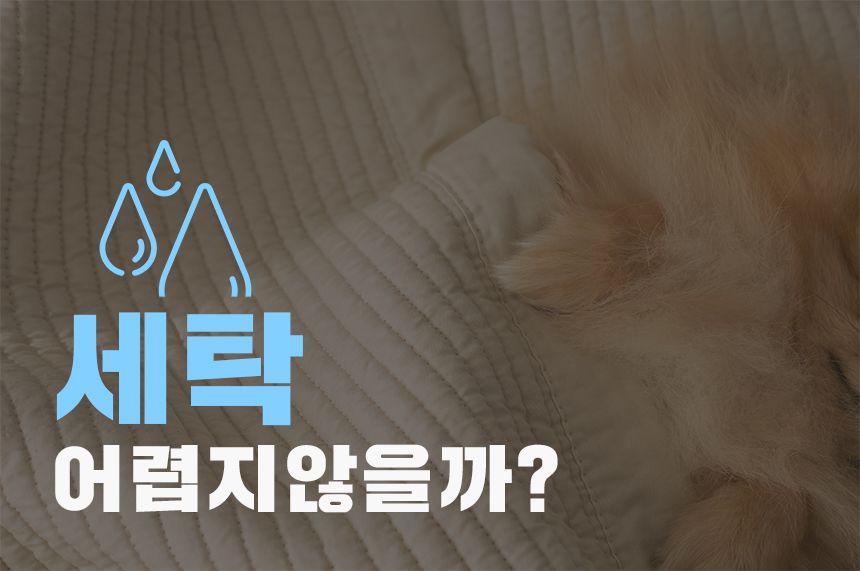 [무료배송] 리포소 궁댕이 애견방석 아이보리 M 10번째