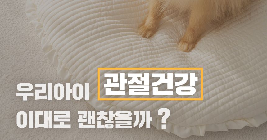 [무료배송] 리포소 궁댕이 애견방석 아이보리 M 2번째