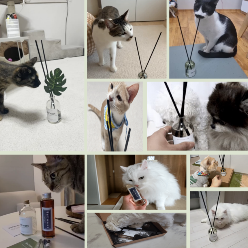 [무료배송] 바트밋 고양이 강아지 디퓨저 110ml 3번째
