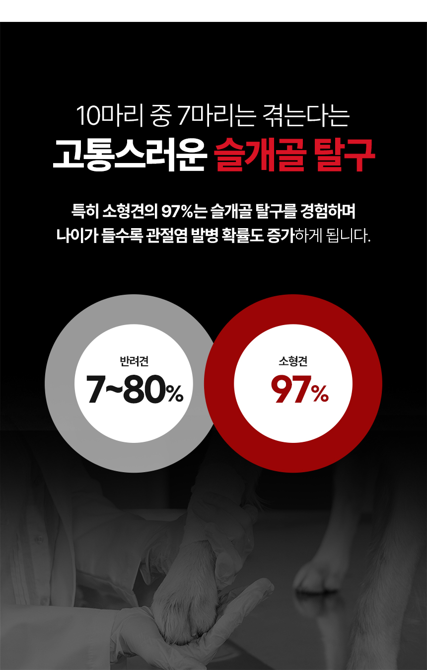 [무료배송] 닥터푸치 독 관절츄 올인원 조인트&웨이트케어 150g(5g*30정) 3번째