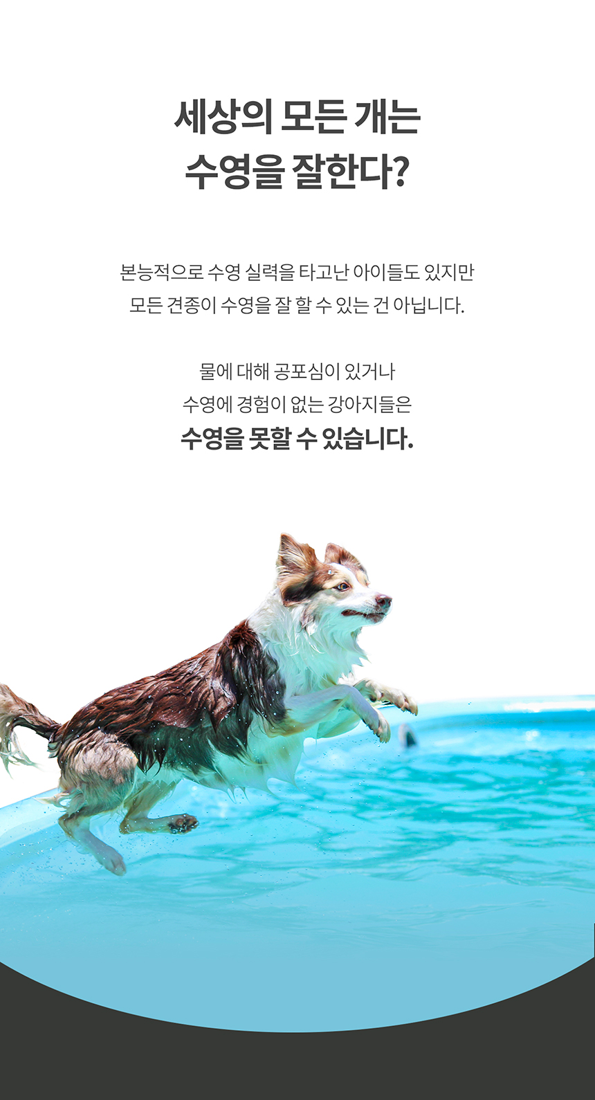 [무료배송] 니즈더펫 인터라켄 라이프 자켓 강아지 구명조끼 XS-2XL 4번째