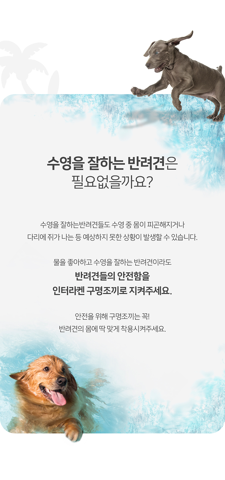 [무료배송] 니즈더펫 인터라켄 라이프 자켓 강아지 구명조끼 XS-2XL 7번째