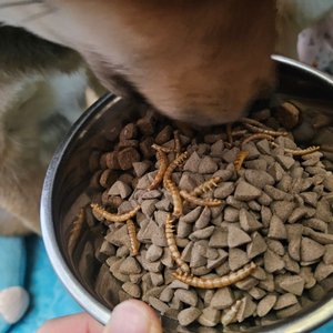베스트 후기 이미지