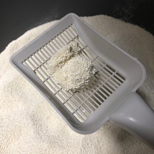 베스트 후기 이미지