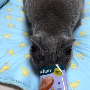 베스트 후기 이미지