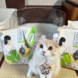 집사공감 깔끔한 무향 사막화방지 입자 6.35kg 베스트 후기 이미지