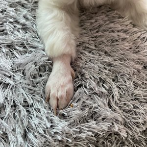베스트 후기 이미지