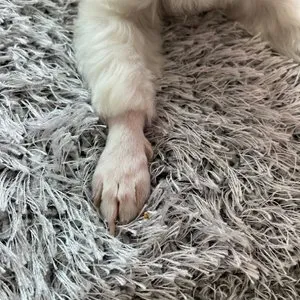 베스트 후기 이미지