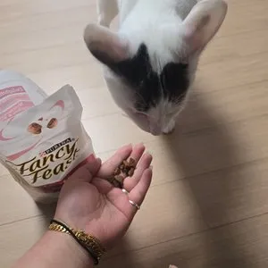 베스트 후기 이미지