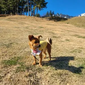 베스트 후기 이미지