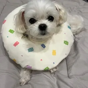 베스트 후기 이미지