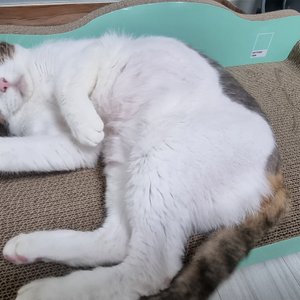 베스트 후기 이미지
