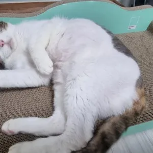 베스트 후기 이미지